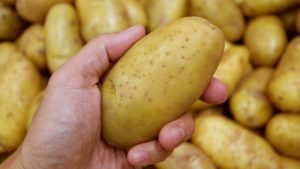 Patate, uno degli alimenti più consumati in tutto il mondo